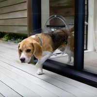 Dog Door, Clear Perspex