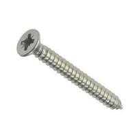 Screw Self Tapping S/S CSK 6gx25mm (200)