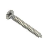 Screw Self Tapping S/S CSK 8gx20mm (200)