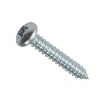 Screw Self Tapping S/S PH 10g x 50mm (200)